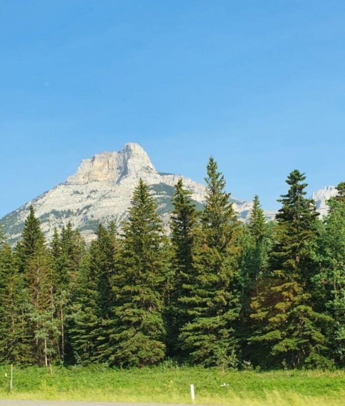 Banff Canada, Precious Chidera, Love