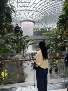 jewel changi airport waterfall
