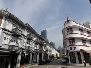 Singapore Travel Guide: What We Loved, What Surprised Us and What to Know Before You Go 9 china town singapore