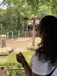 zoo singapore